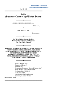 Brief for Border Action Network, Border Network for