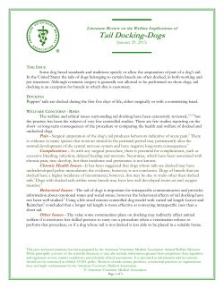 Tail Docking-Dogs - American Veterinary Medical Association