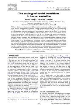 The ecology of social transitions in human evolution