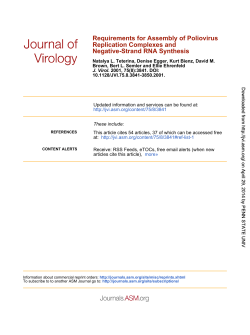 Negative-Strand RNA Synthesis Replication Complexes