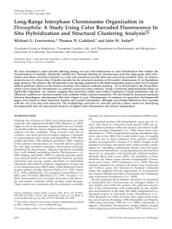 Long-Range Interphase Chromosome Organization in Drosophila: A