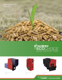 Home Heating with Biomass Alternative Energy