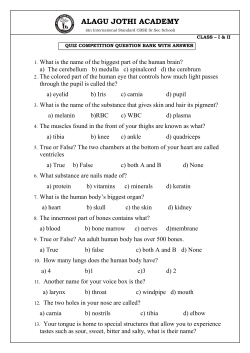 I and II - AlaguJothi Academy