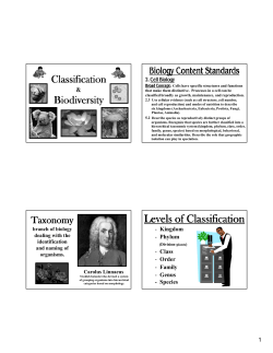 Levels of Classification