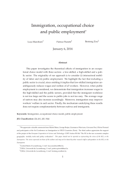Immigration, occupational choice and public employment