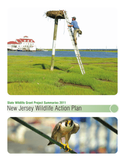 New Jersey Wildlife Action Plan