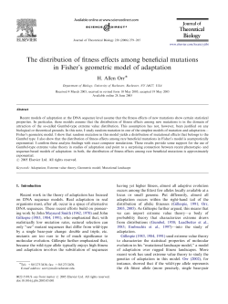 The distribution of fitness effects among beneficial mutations in