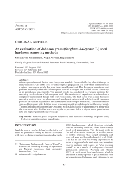 An evaluation of Johnson grass (Sorghum halepense L.) seed