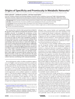 Origins of Specificity and Promiscuity in Metabolic Networks