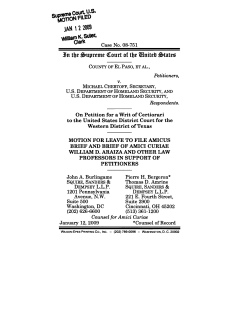 Brief amici curiae of William D. Araiza and other law