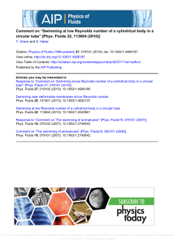 Phys. Fluids 22, 113604 (2010)
