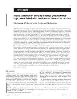 Niche variation in burying beetles (Nicrophorus spp.) associated