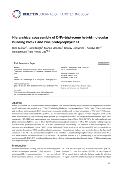 Hierarchical coassembly of DNA&ndash;triptycene hybrid molecular