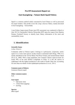 EGTB Squid pre-assessment report 201407