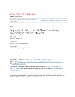 Sequence of EMB-1, an mRNA accumulating specifically in embryos