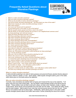 Frequently Asked Questions about Shoreline Plantings