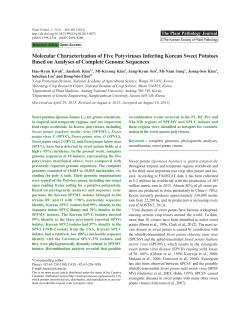 Molecular Characterization of Five Potyviruses