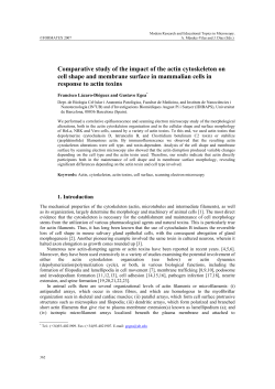 Comparative study of the impact of the actin cytoskeleton on cell