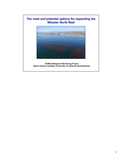 2016 Annual Review Workshop Reef Remediation