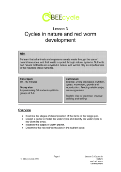 Cycles in nature and red worm development
