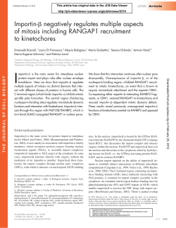 Importin-&szlig; negatively regulates multiple aspects of mitosis including