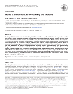 Inside a plant nucleus: discovering the proteins