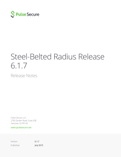 Steel-Belted Radius Release 6.1.7