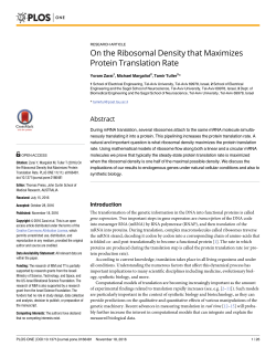 On the Ribosomal Density that Maximizes Protein Translation Rate