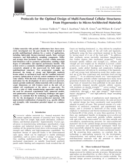Protocols for the Optimal Design of MultiFunctional Cellular Structures