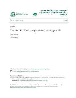 The impact of red kangaroos on the rangelands