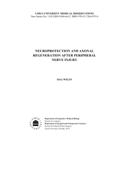 neuroprotection and axonal regeneration after peripheral nerve injury