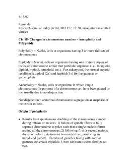 Notes 20