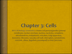 3.1 and 3.2 Cell organelles