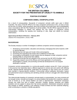 Companion Animal Overpopulation