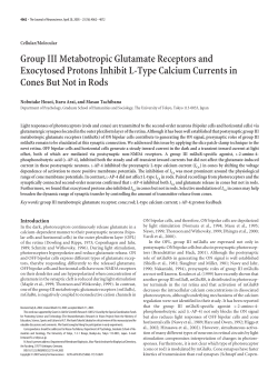 Group III Metabotropic Glutamate Receptors and Exocytosed