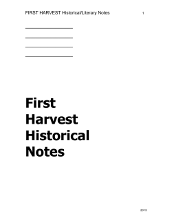 Interest in American past