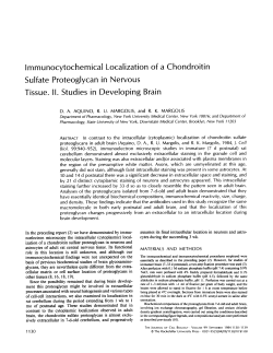 Immunocytochemical Localization of a Chondroitin