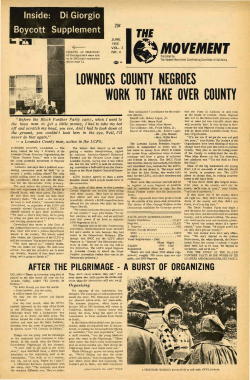 lowndes county negroes work to take over county