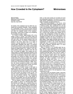How Crowded Is the Cytoplasm? Minireviews