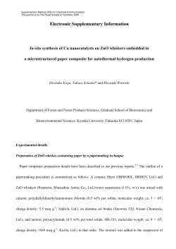 Electronic Supplementary Information