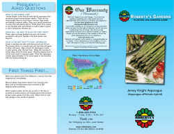 Jersey Knight Asparagus FREQUENTLY ASKED