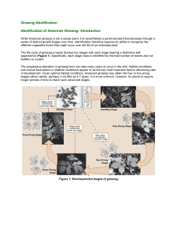 Ginseng Identification Identification of American