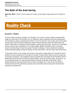 The Myth of the Arab Spring