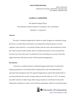 sample lab report - Avery Point Academic Center
