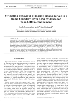 Swimming flume behaviour of marine bivalve larvae in a boundary