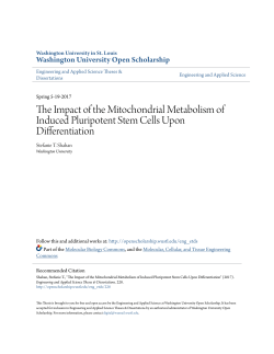 The Impact of the Mitochondrial Metabolism of Induced Pluripotent