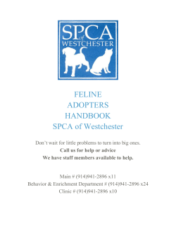 Feline Adoption Manual - SPCA of Westchester County