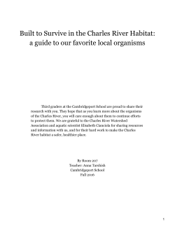 Built to Survive in the Charles River Habitat: a guide to our favorite
