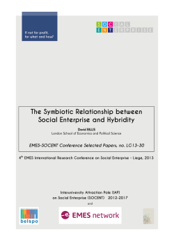 The Symbiotic Relationship between Social Enterprise and Hybridity