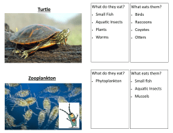 Aquatic Food Web Game Tags
